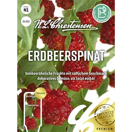 Echter Erdbeerspinat-Samen