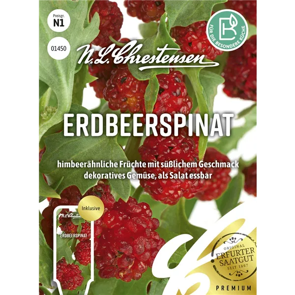 Echter Erdbeerspinat-Samen