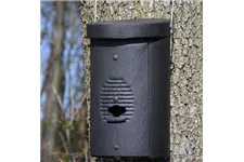 Fledermaus-Großraumhöhle 1 Stück