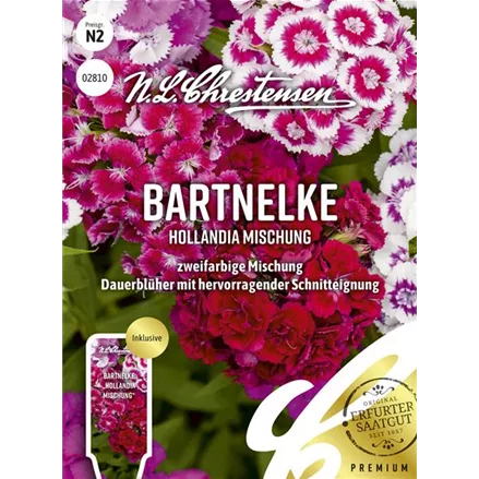 Bartnelkensamen 'Hollandia Mix'