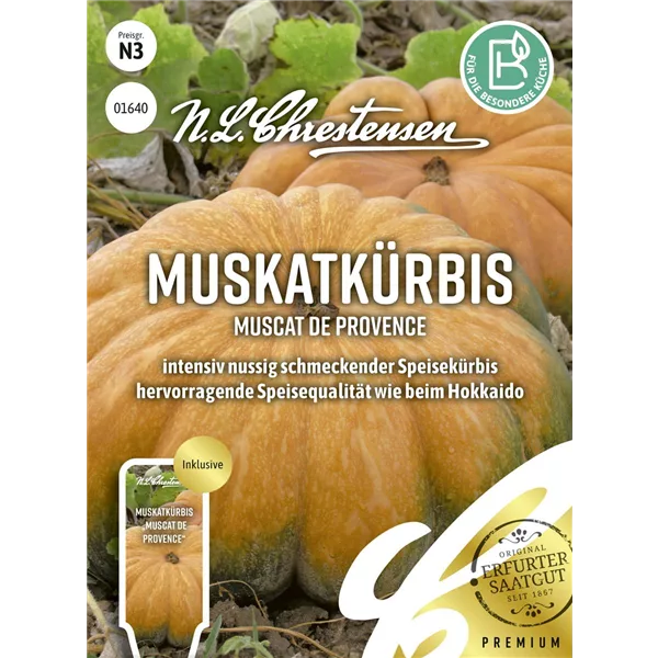 Kürbissamen 'Muscat de Provence'