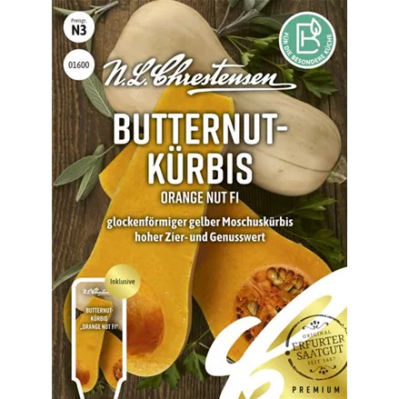 Kürbissamen 'Orange Nut'