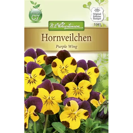 Hornveilchensamen 'Gold Purple Wing'