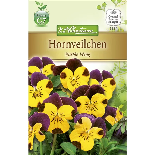 Hornveilchensamen 'Gold Purple Wing'