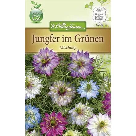 Jungfer im Grünen-Samen