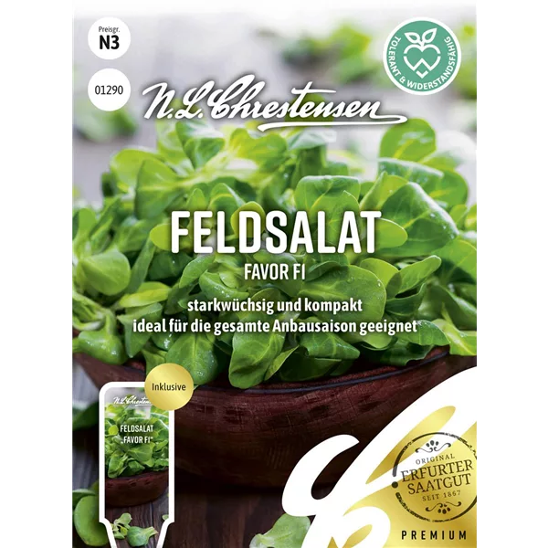 Feldsalatsamen 'Favor'