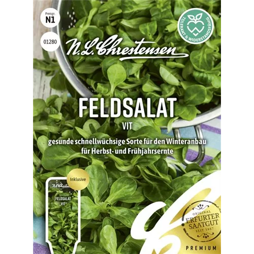 Feldsalatsamen 'Vit'