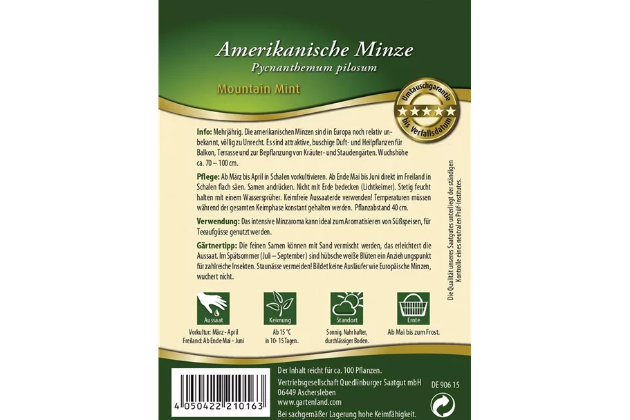 Amerikanische Minze-Samen 'Mountain Mint' Packungsinhalt reicht für ca. 100 Pflanzen