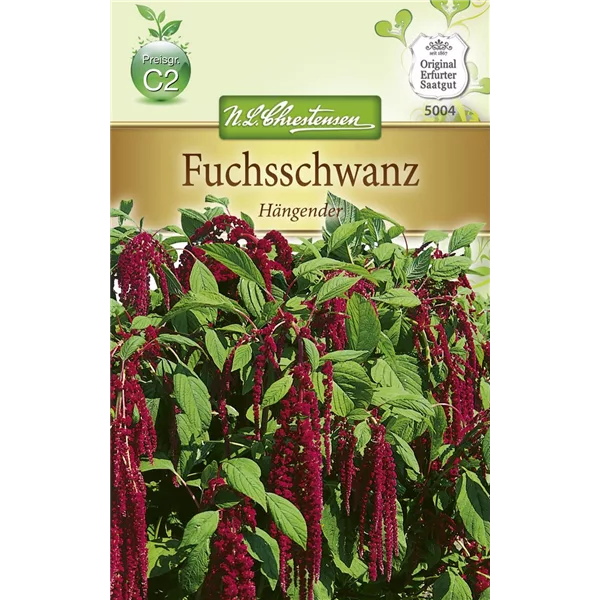 Garten-Fuchsschwanz-Samen