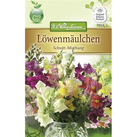 Garten-Löwenmaul-Samen