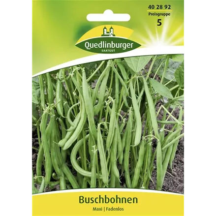 Buschbohnensamen 'Maxi'