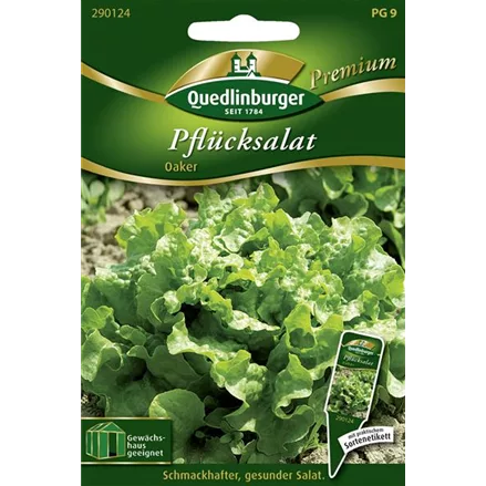 Eichblattsalatsamen 'Oaker'