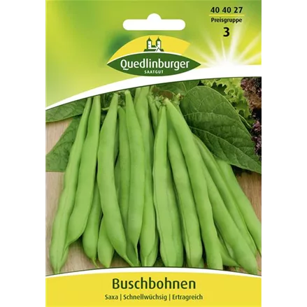 Buschbohnensamen 'Saxa'