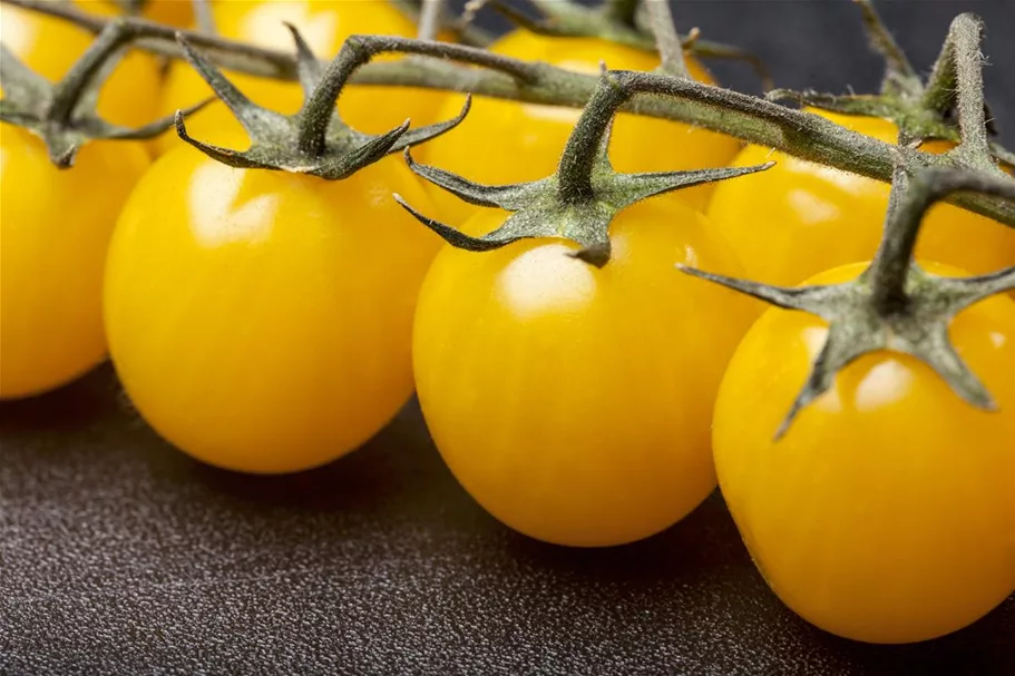 Cherry-Tomate-Samen Packungsinhalt reicht für ca. 12-15 Pflanzen