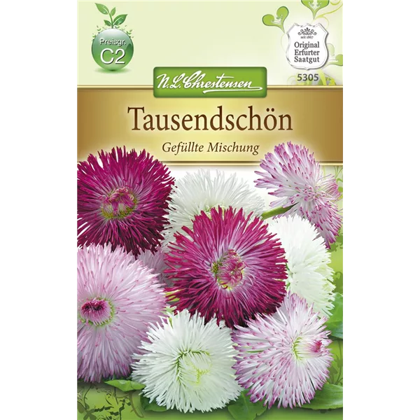 Gefülltes Gänseblümchen-Samen