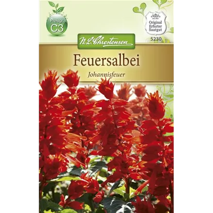 Feuersalbeisamen 'Johannisfeuer'