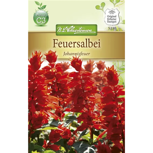 Feuersalbeisamen 'Johannisfeuer'