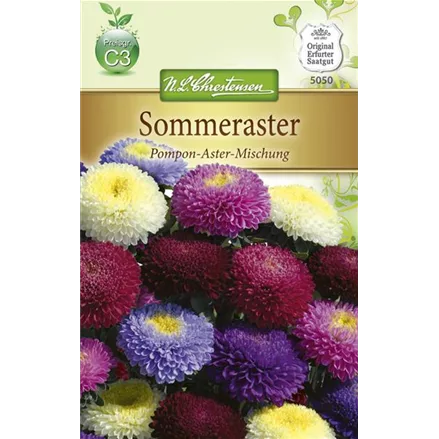 Gartenastersamen 'Pompon'