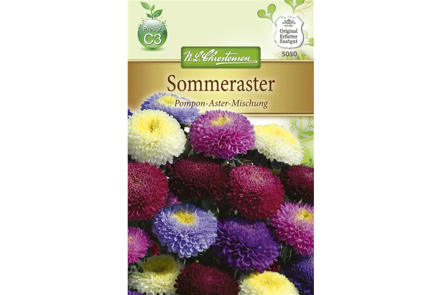 Gartenastersamen 'Pompon' Inhalt reicht für ca. 80 Pflanzen