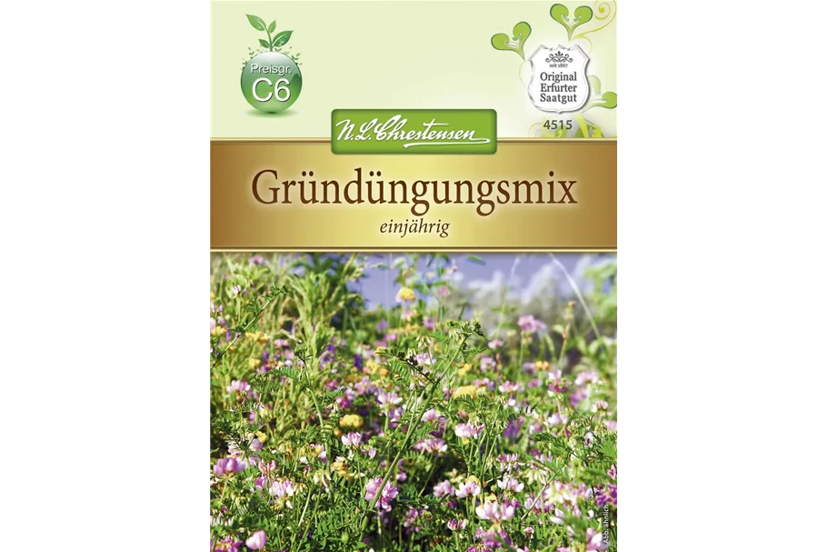 Gründungsmix-Samen Inhalt reicht für ca. 10 m²