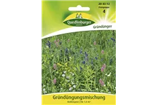 Gründüngung-Samen Portion