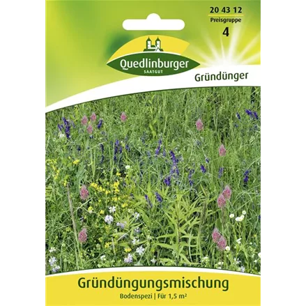 Gründüngung-Samen