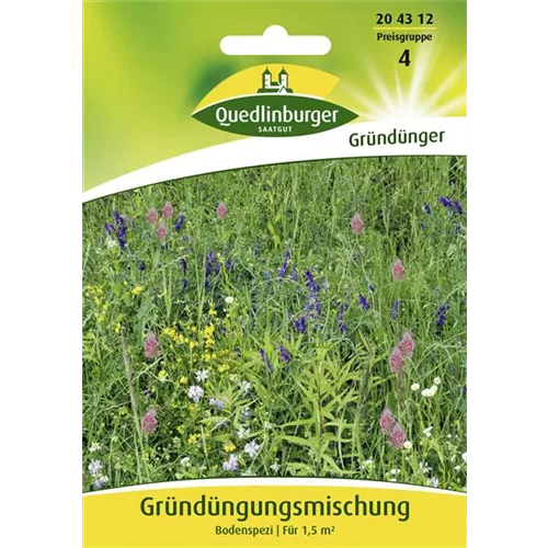 Gründüngung-Samen