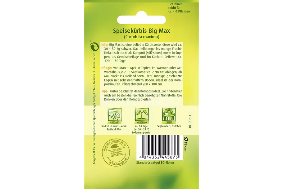 Kürbissamen 'Big Max' Packungsinhalt reicht für ca. 5 Pflanzen