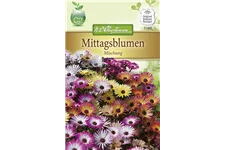 Mittagsblumensamen Inhalt reicht für ca. 150 Pflanzen