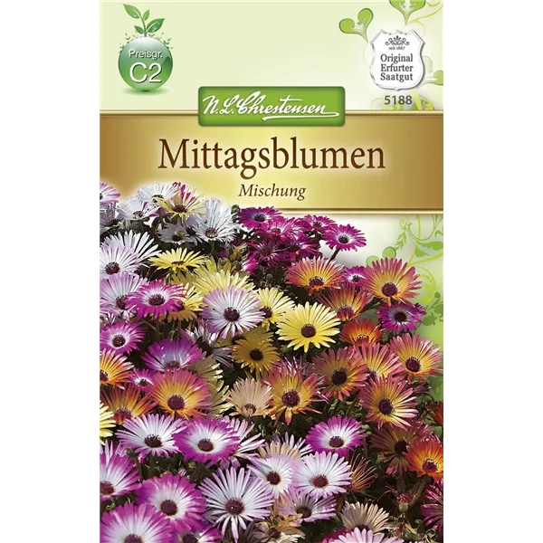 Mittagsblumensamen