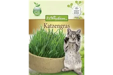 Katzengrassamen Inhalt reicht für ca. 1 m²