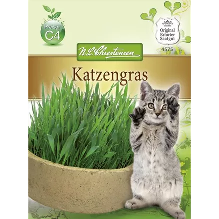 Katzengrassamen