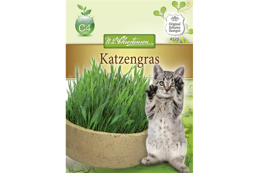 Katzengrassamen Inhalt reicht für ca. 1 m²