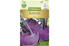 Kohlrabisamen 'Blaro' Inhalt reicht für ca. 60 Pflanzen