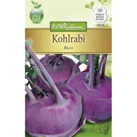 Kohlrabisamen 'Blaro'