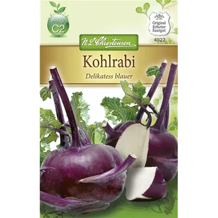 Kohlrabisamen 'Blauer Delikatess'