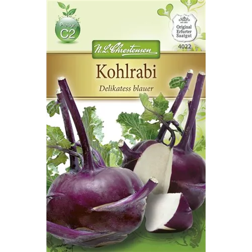 Kohlrabisamen 'Blauer Delikatess'