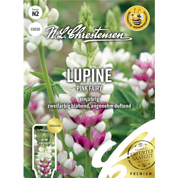 Lupinensamen 'Pink Fairy'