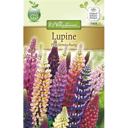 Lupinensamen 'Prachtmischung'