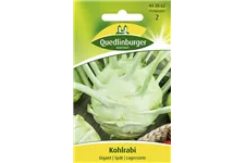 Kohlrabisamen 'Gigant' Packungsinhalt reicht für ca. 150 Pflanzen