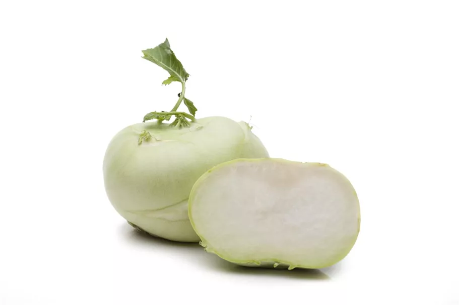 Kohlrabisamen 'Gigant' Inhalt reicht für ca. 60 Pflanzen