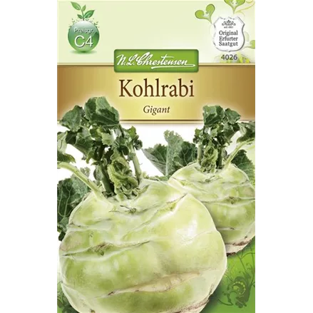 Kohlrabisamen 'Gigant'