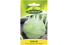 Kohlrabisamen 'Lanro' Packungsinhalt reicht für ca. 150 Pflanzen