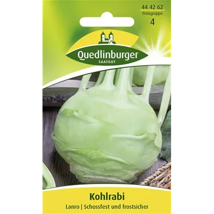 Kohlrabisamen 'Lanro'