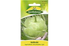 Kohlrabisamen 'Superschmelz' Packungsinhalt reicht für ca. 150 Pflanzen