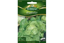 Kopfsalat 'Dynamite' Packungsinhalt reicht für ca. 80 Pflanzen