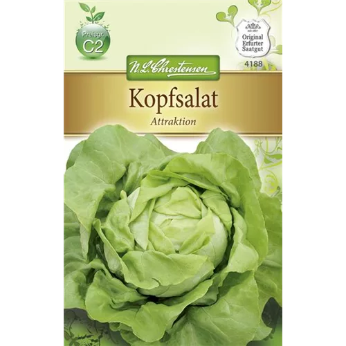 Kopfsalatsamen 'Attraktion'