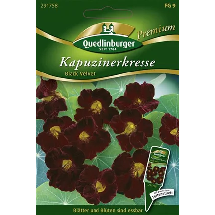 Kapuzinerkressesamen 'Black Velvet'