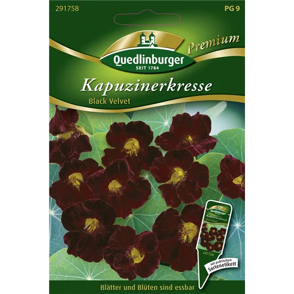 Kapuzinerkressesamen 'Black Velvet'