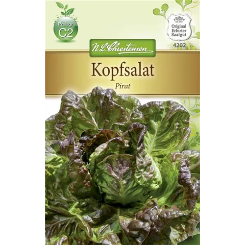 Kopfsalatsamen 'Pirat'